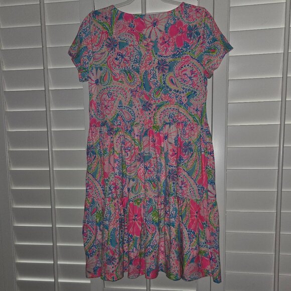 NWT Lilly Pulitzer Geanna Dress - Picture 3 of 4